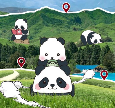 Ȥ | XPanda Roll ޶С